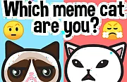 Which meme cat are you?