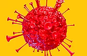 Fight Virus