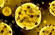 Coronavirus Slide