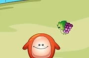 Chaki Food Drop