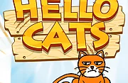 Hello Cats