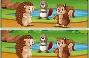 Spot The Differences Forests