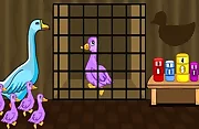 Duck Family Rescue Series Final