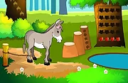 Donkey Rescue