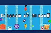 Kingdom of Ninja 6