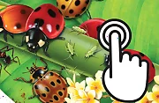 Ladybug Clicker