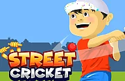 Street Cricket