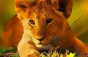 Wild Baby Animals Jigsaw