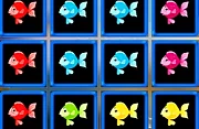 1010 Fish Blocks