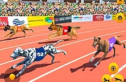 Dog Race Sim 2020: Dog Racing Games