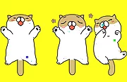 Tickling Cat