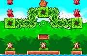 Super Kiwi Adventure - 2021