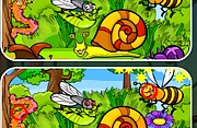 Insects Photo Differences