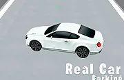 Real Car Parking 3D