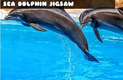 Sea Dolphin Jigsaw