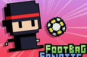 Footbag Fanatic