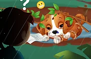 Lost Puppy Rescue and Care